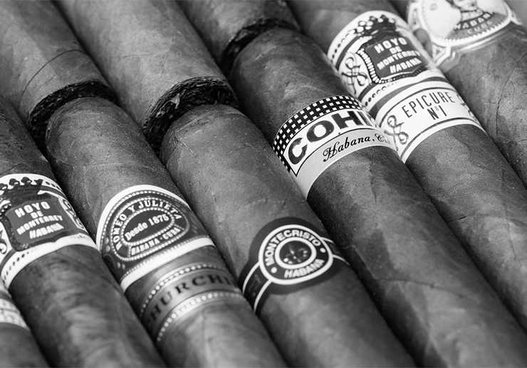 Cigar SEO Agency Success