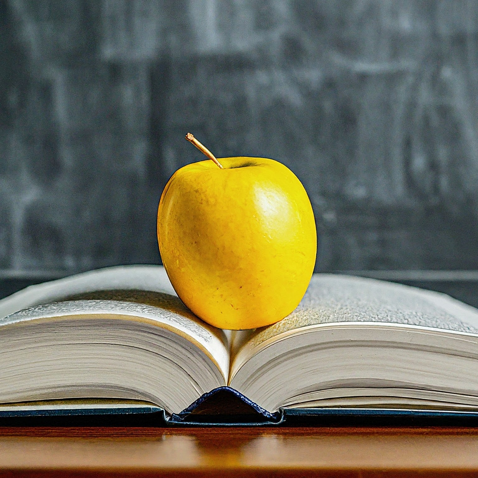 Educational Services SEO Advancements