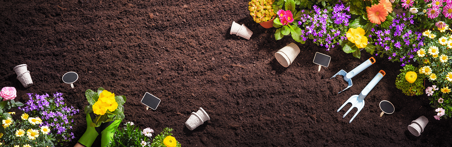 Gardening SEO