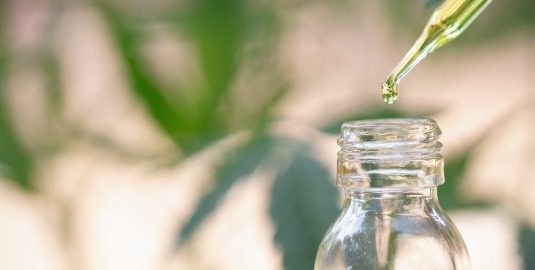 SEO and CBD: How to Have a Successful Marketing Campaign