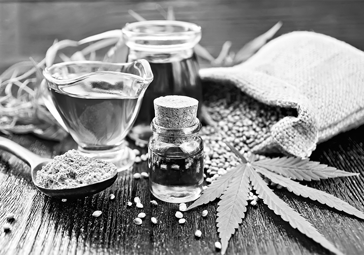 Content Marketing for Hemp SEO