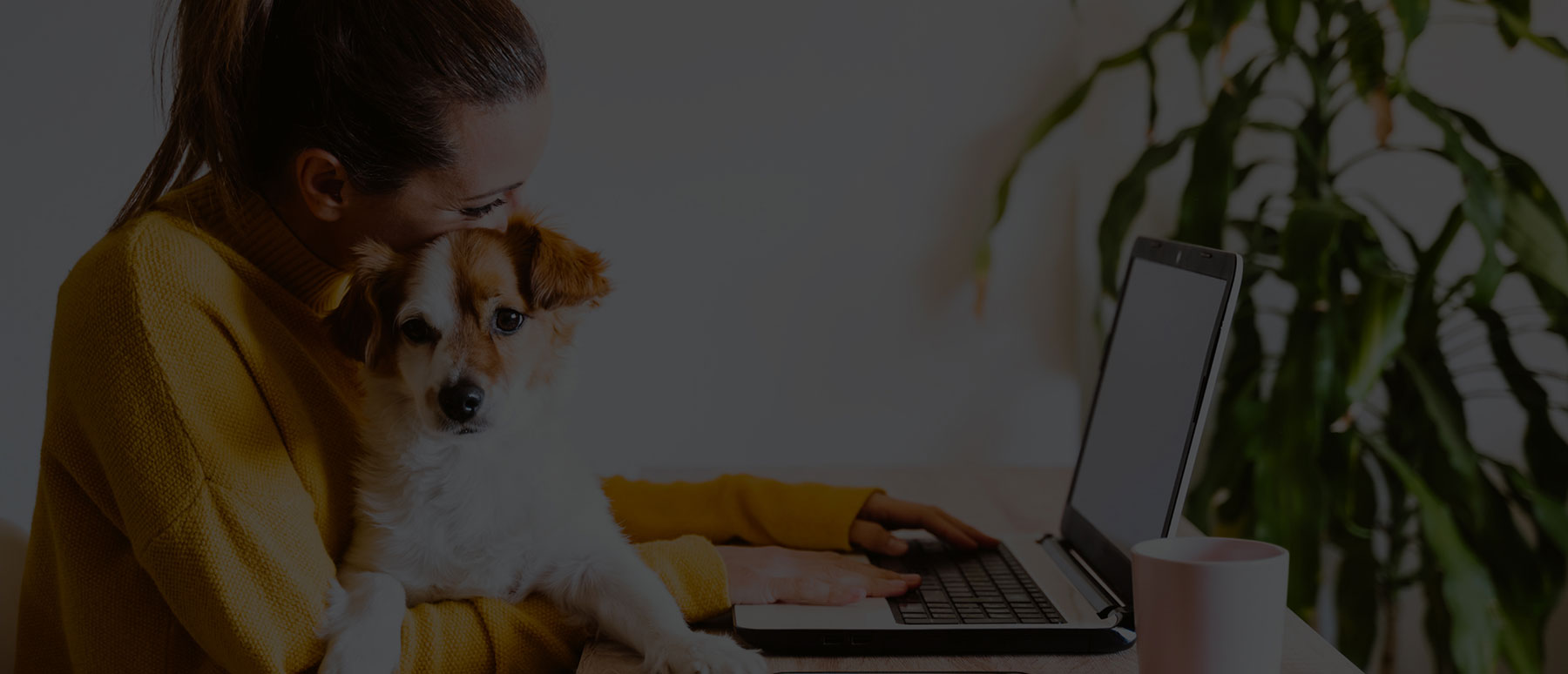 Grow online sales