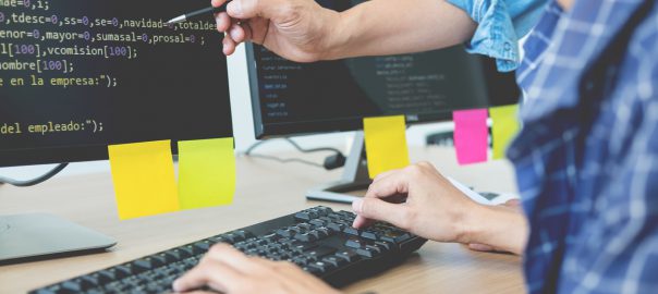 Custom eCommerce Development: Doing Business Your Way
