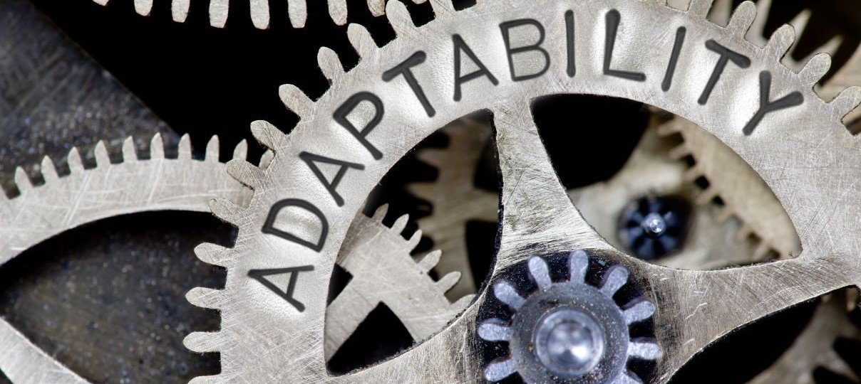 Advice from eCommerce Agency Experts: Adaptability is the Key to Success