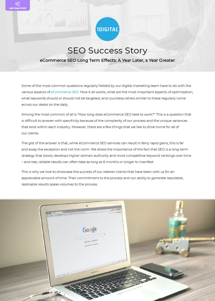 eCommerce SEO Long Term Effects: A Year Later, a Year Greater