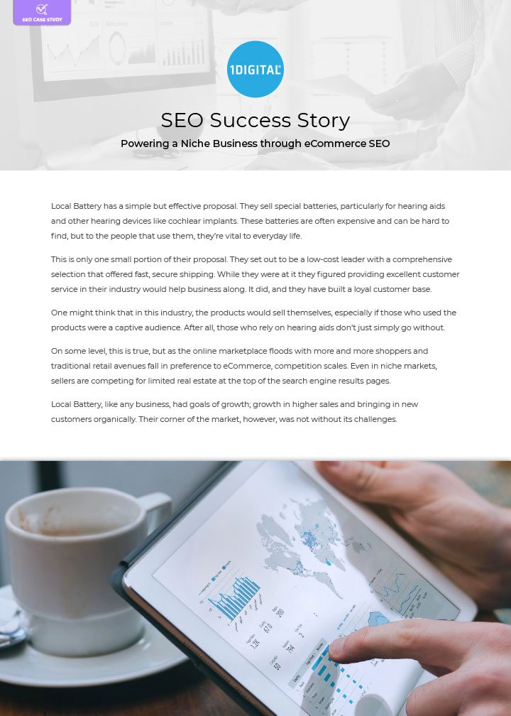 Powering a Niche Business through eCommerce SEO