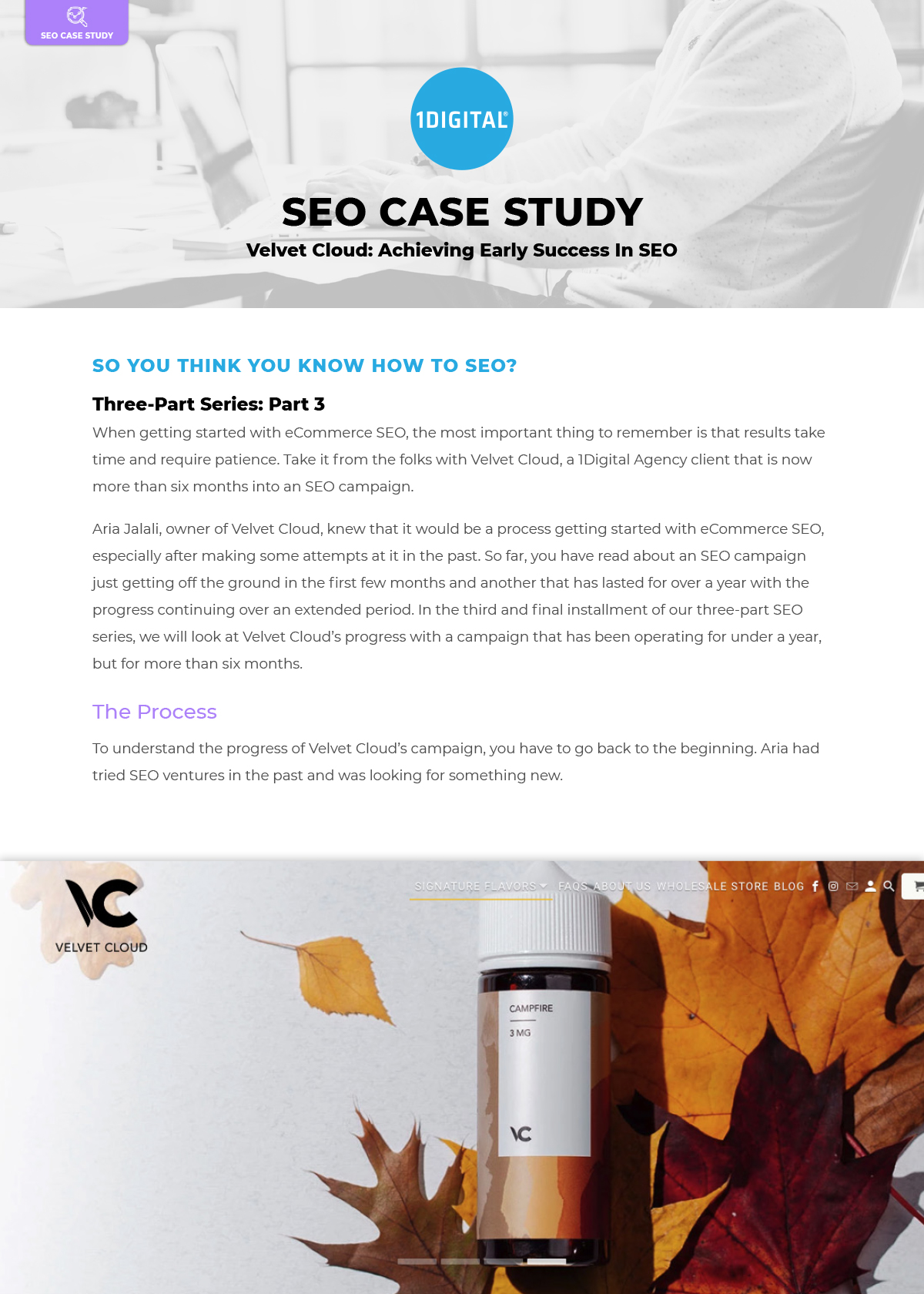 Velvet Cloud: Achieving Early Success In SEO
