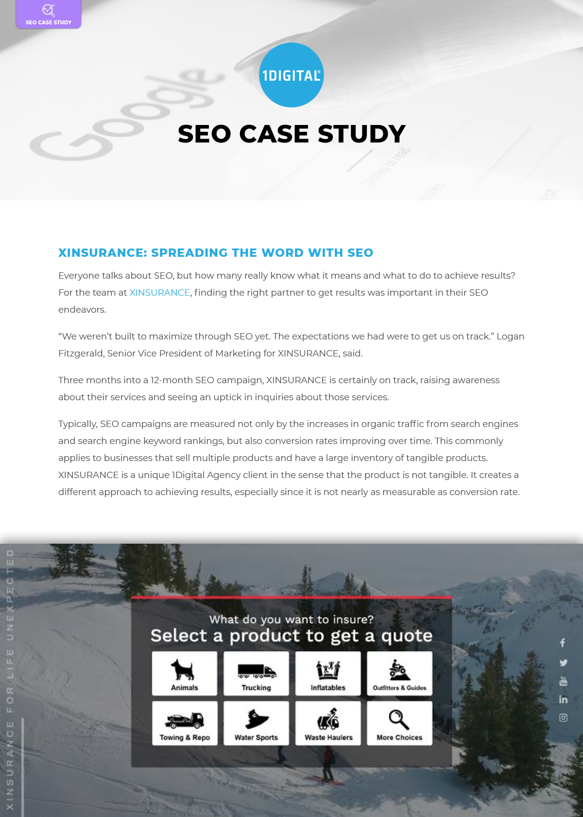 XINSURANCE: Spreading the Word with SEO