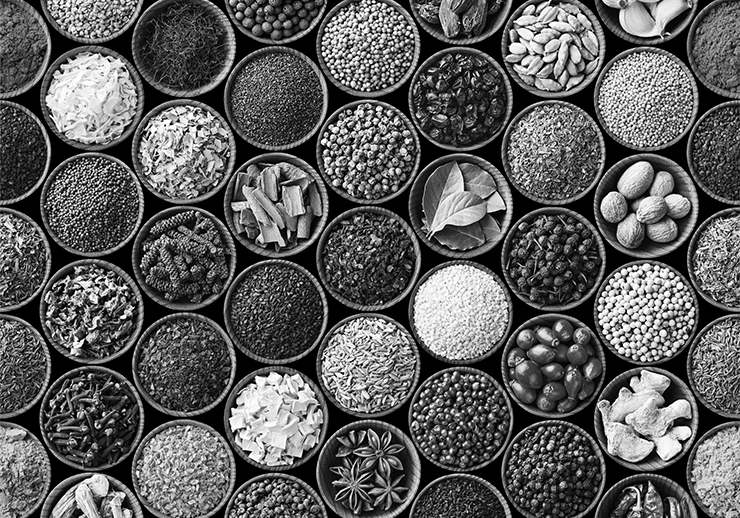 Specialty Foods SEO