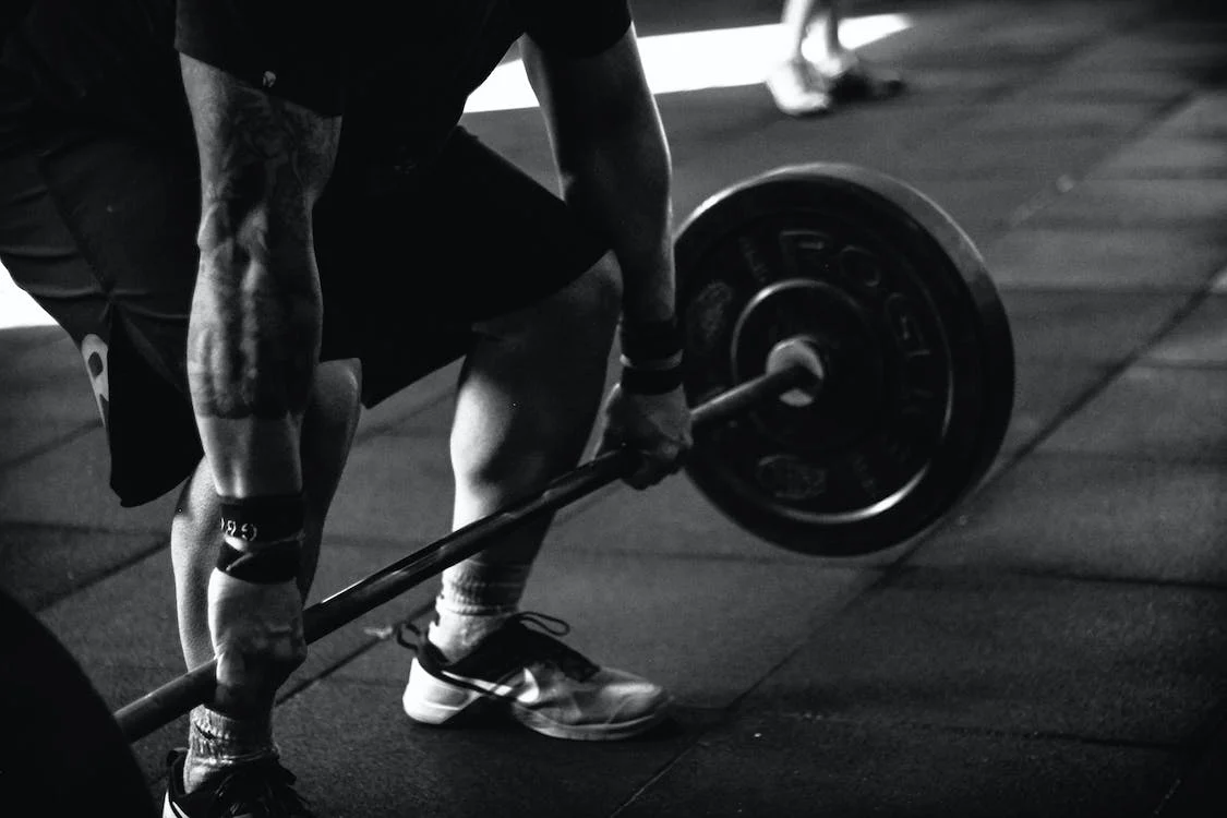 fitness SEO